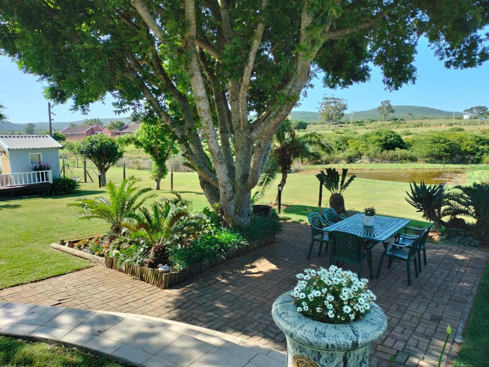 Little Tree Loft 2 Bed and Breakfast Uitenhage Eksteriør billede